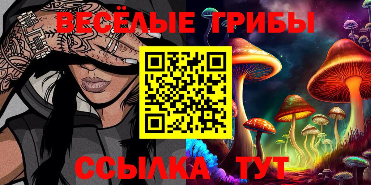 наркота  Псилоцибиновые грибы MAGIC MUSHROOMS  Вход с VPN  Тихорецк 