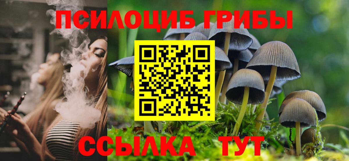 Галлюциногенные грибы мухоморы Тихорецк